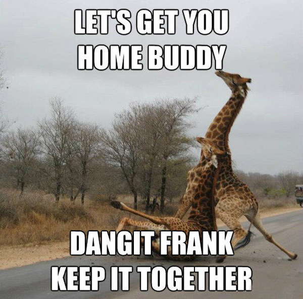 Moments In Your Life That Were Significantly Improved By Alcohol (12 pics)
