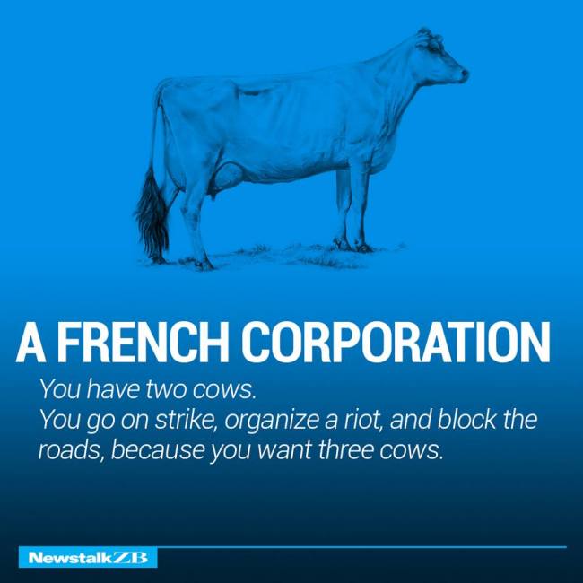 The Structure Of World Economies Explained Using Cows (17 pics)