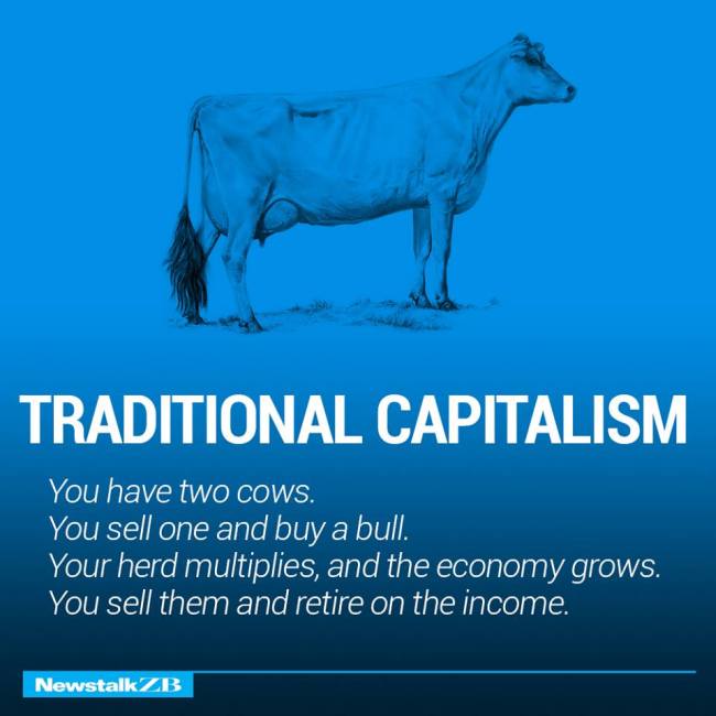 The Structure Of World Economies Explained Using Cows (17 pics)