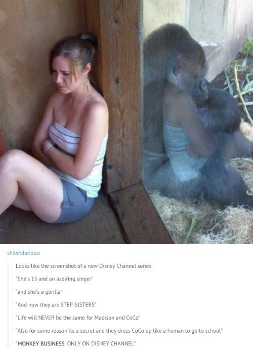 Tumblr Comments That Dramatically Improved The Original Photo (18 pics)