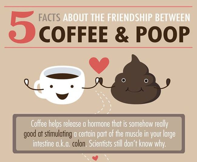 5 Facts About Coffee And Why It Makes You Poop (infographic)