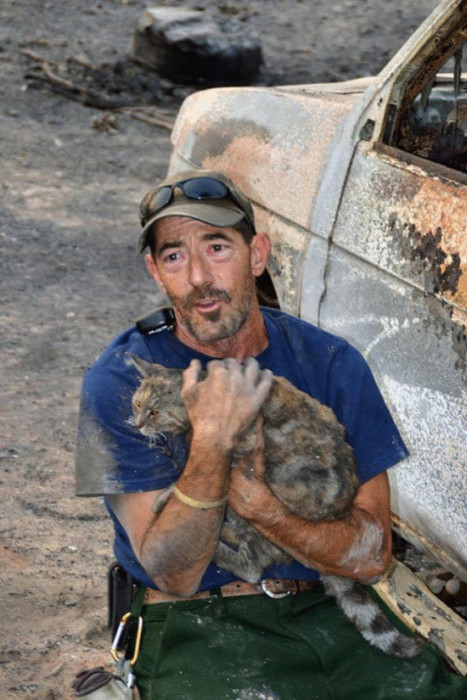 Miracle Cat Comes Home After House Burns Down (4 pics)