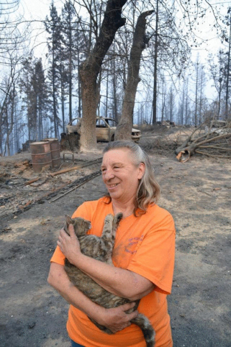 Miracle Cat Comes Home After House Burns Down (4 pics)