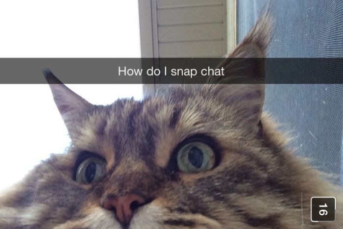 Clever People Who Know How To Make Snapchat Hilarious (19 pics)