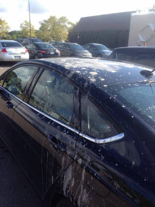 You Know Things Are Getting Crazy When (46 pics)