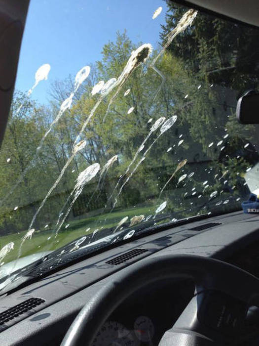 You Know Things Are Getting Crazy When (46 pics)