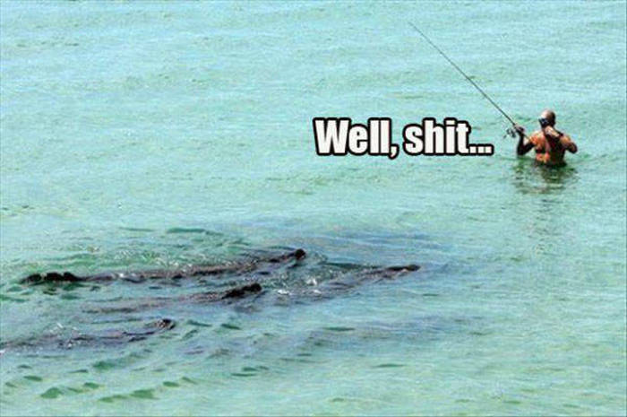 You Know Things Are Getting Crazy When (46 pics)