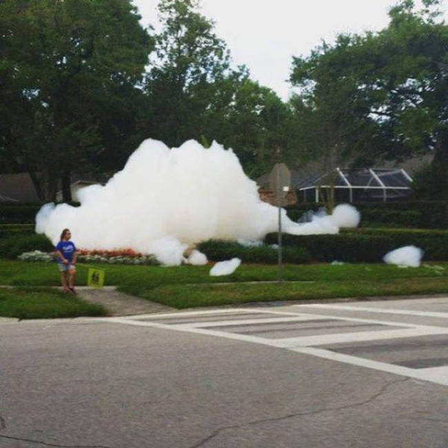 You Know Things Are Getting Crazy When (46 pics)