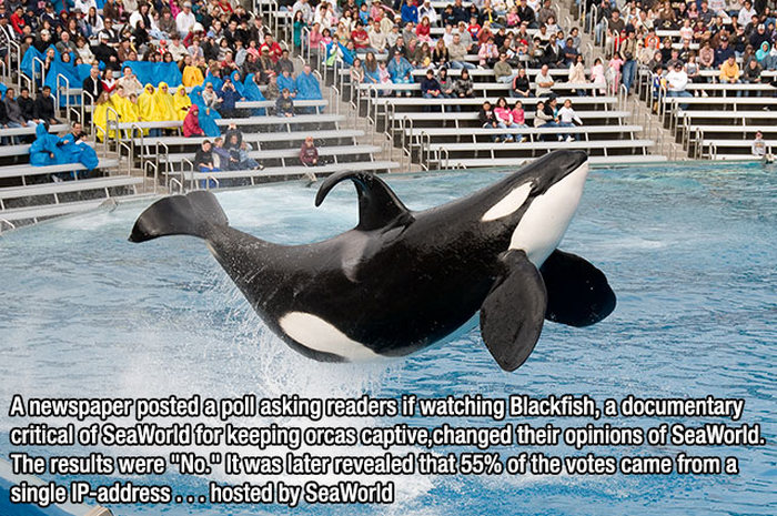 15 Insane Facts About Anything And Everything (15 pics)