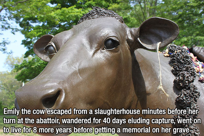 15 Insane Facts About Anything And Everything (15 pics)