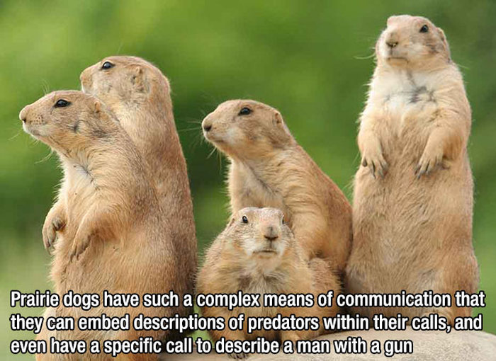 15 Insane Facts About Anything And Everything (15 pics)