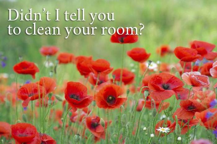 If Mom Quotes Had Their Own Inspirational Posters (21 pics)