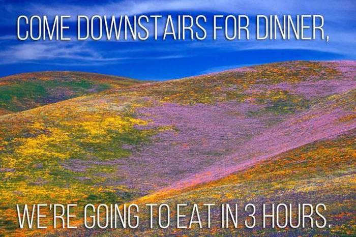 If Mom Quotes Had Their Own Inspirational Posters (21 pics)