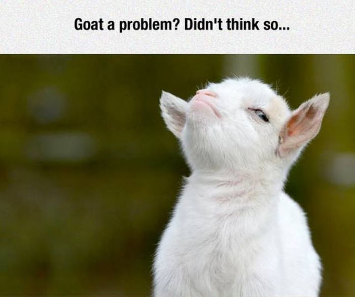 Puns That Managed To Be Stupid And Funny At The Same Time (51 pics)