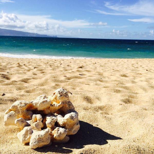 This Is Why Everybody Wants To Take A Vacation In Hawaii (32 pics)