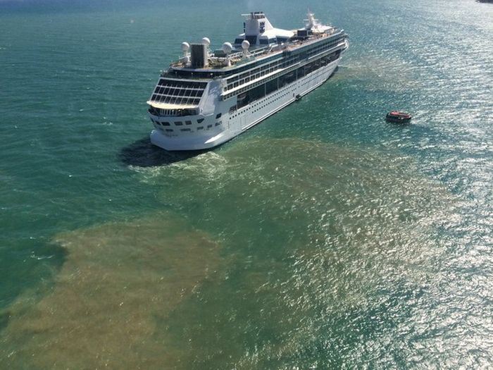 This Is How Much Sewage Cruise Ships Dump Into The Ocean Every Year (3 pics)