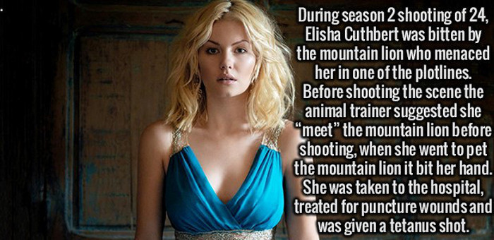 Educate Yourself And Entertain Your Brain With These Fun Facts (20 pics)