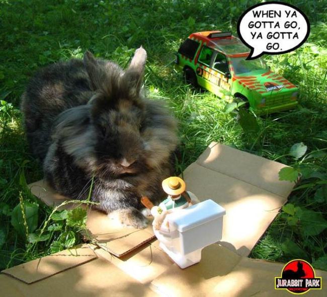 Jurabbit Park Recreates Famous Scenes From Jurassic Park Using A Rabbit (9 pics)