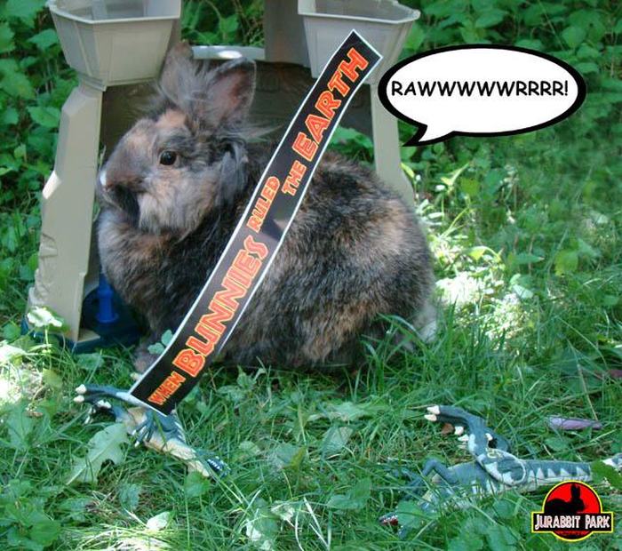 Jurabbit Park Recreates Famous Scenes From Jurassic Park Using A Rabbit (9 pics)