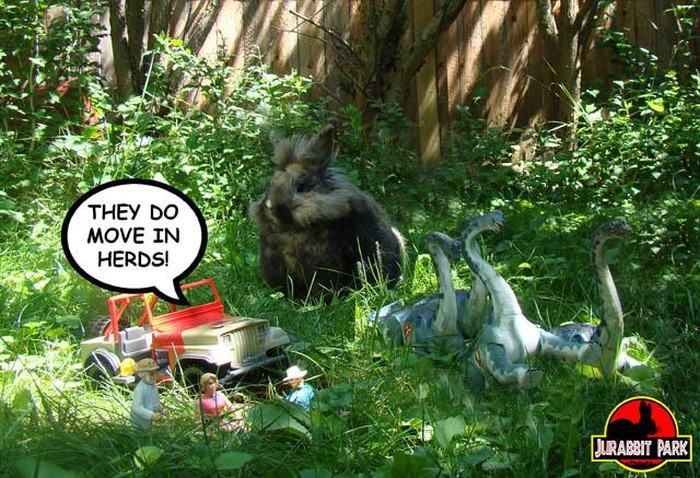 Jurabbit Park Recreates Famous Scenes From Jurassic Park Using A Rabbit (9 pics)