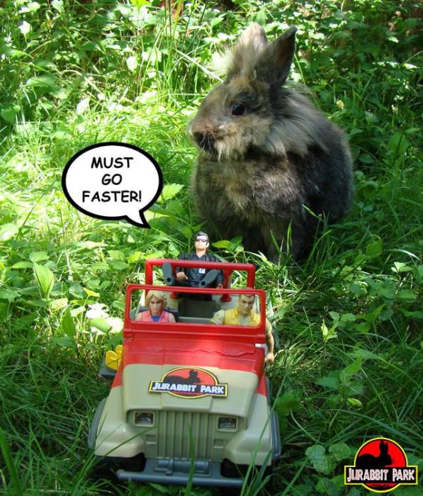 Jurabbit Park Recreates Famous Scenes From Jurassic Park Using A Rabbit (9 pics)