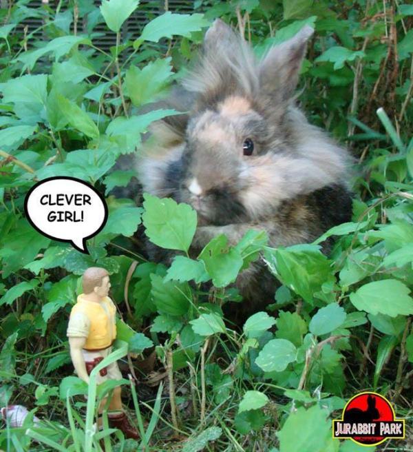 Jurabbit Park Recreates Famous Scenes From Jurassic Park Using A Rabbit (9 pics)