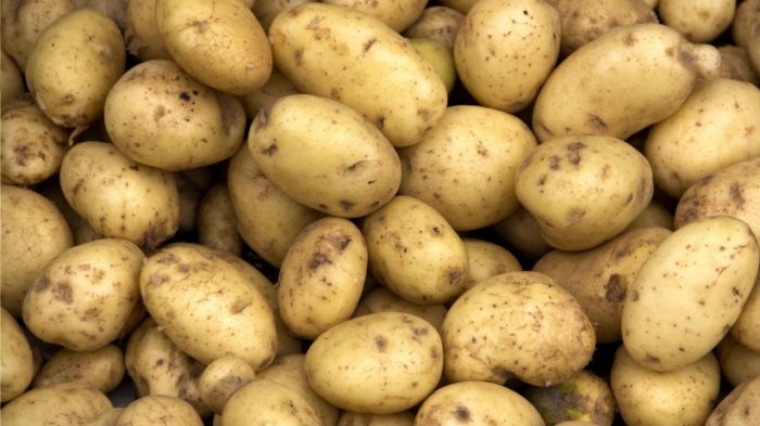 Stop Sending Your Enemies Glitter Because Now You Can Ship Them Potatoes (3 pics)