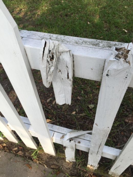 Termites Did Some Serious Damage To This Fence (3 pics)