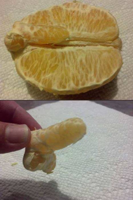 No Other Type Of Humor Is Ever As Funny As Dirty Humor (52 pics)