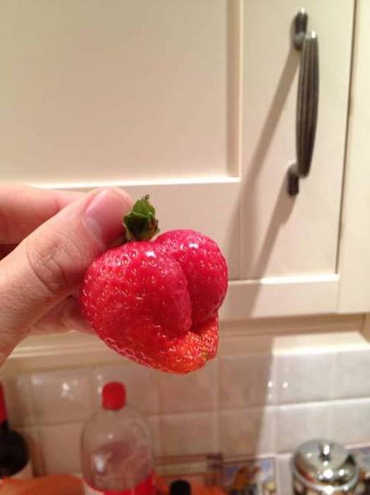 No Other Type Of Humor Is Ever As Funny As Dirty Humor (52 pics)