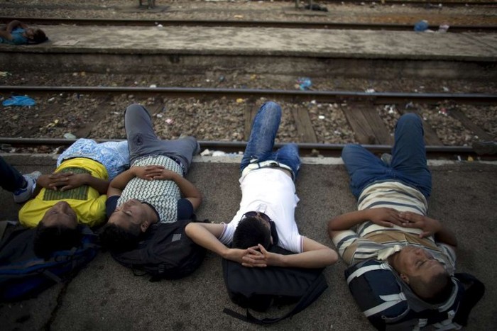 Migrants From The Middle East Pack This Train To Europe (30 pics)