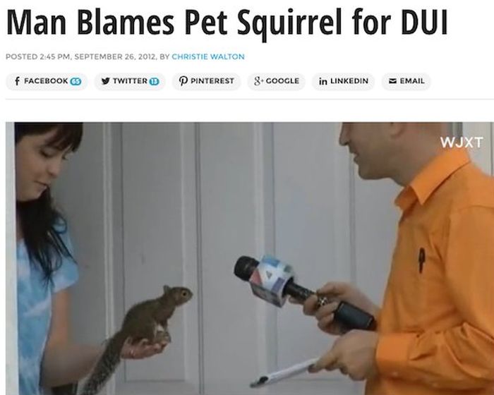 Over The Top And Outrageous Excuses You Won't Believe People Made Up (16 pics)