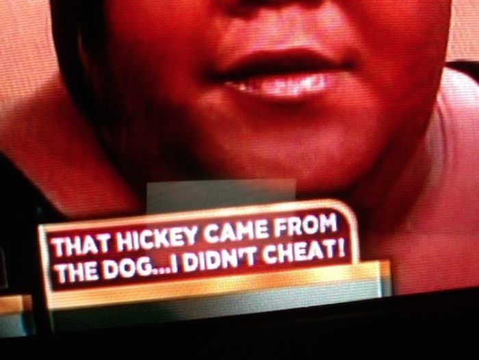 Over The Top And Outrageous Excuses You Won't Believe People Made Up (16 pics)