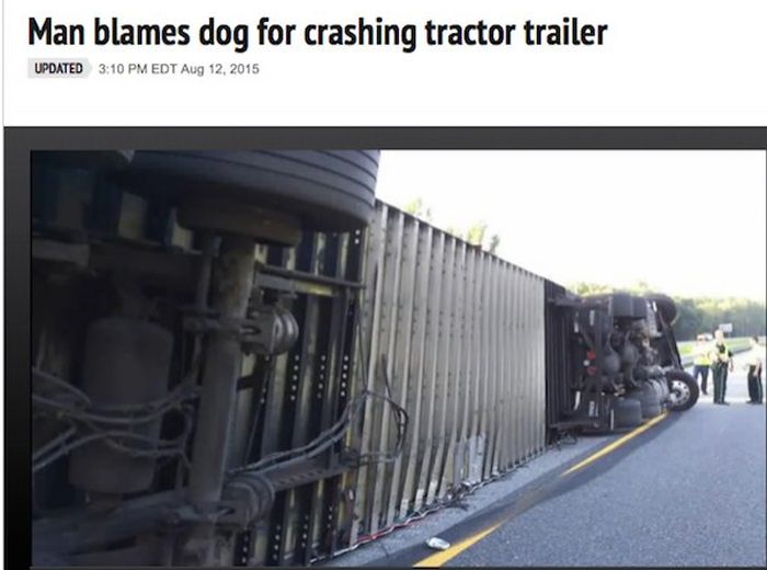 Over The Top And Outrageous Excuses You Won't Believe People Made Up (16 pics)