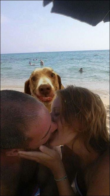 Couple Kissing On The Beach Asks The Internet For Photoshop Help (18 pics)