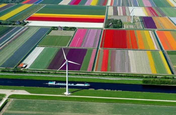 Acid Picdump (98 pics)