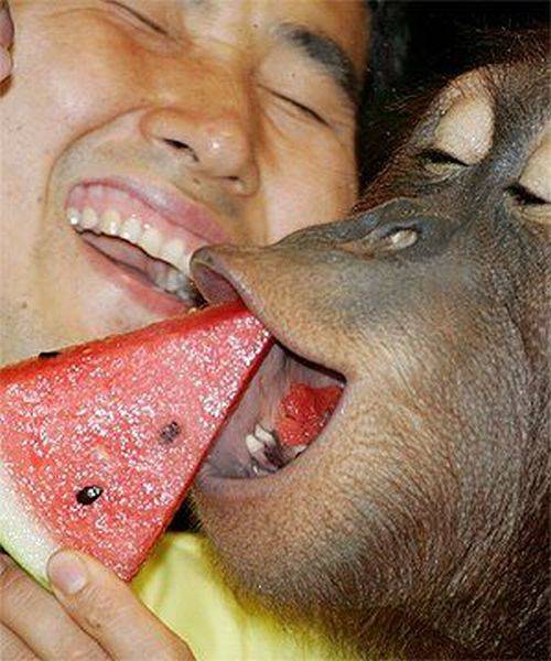 Acid Picdump (98 pics)