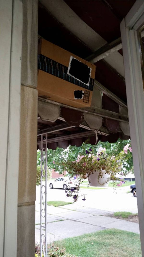 UPS Delivery Driver Went Out Of His Way For This Package (2 pics)