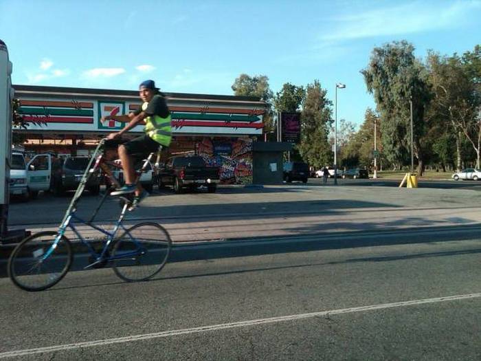 Acid Picdump (108 pics)