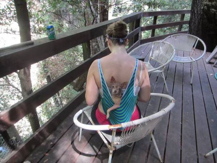 Acid Picdump (108 pics)