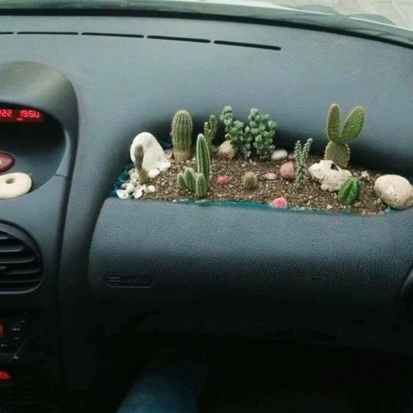 Acid Picdump (108 pics)