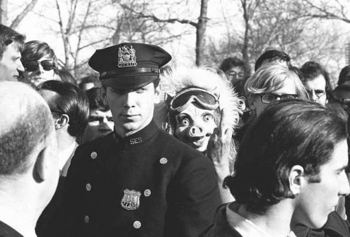 Acid Picdump (108 pics)
