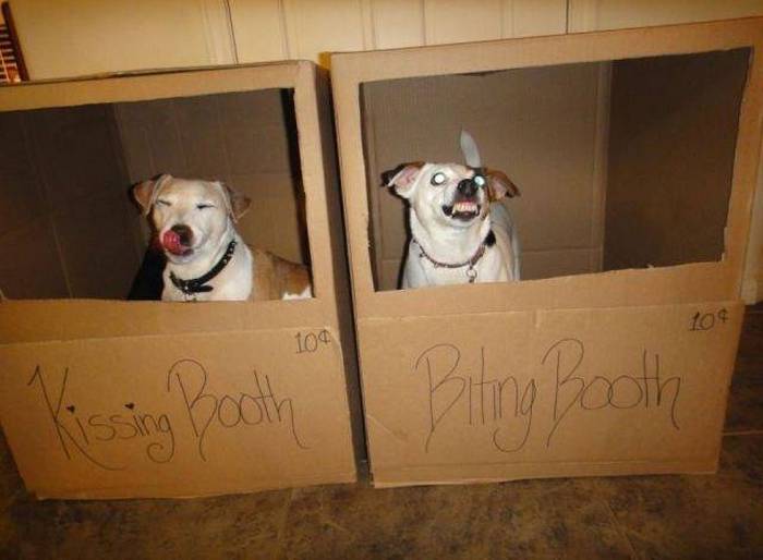 Acid Picdump (108 pics)
