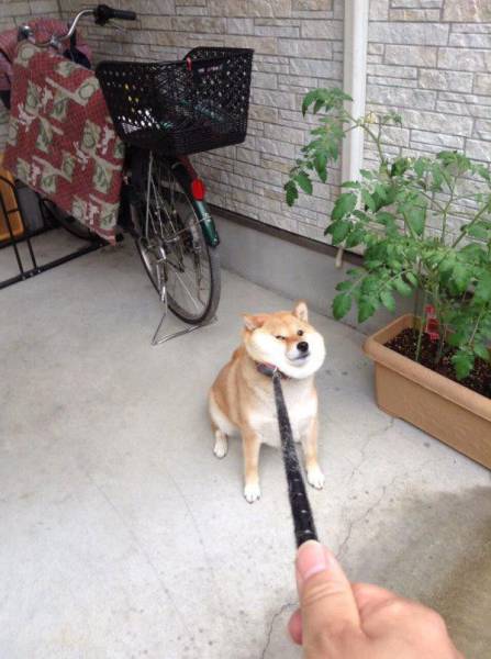 Acid Picdump (108 pics)