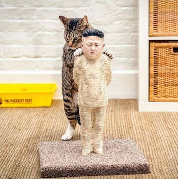 Acid Picdump (108 pics)
