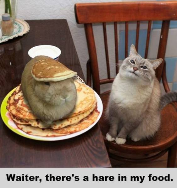 Acid Picdump (108 pics)