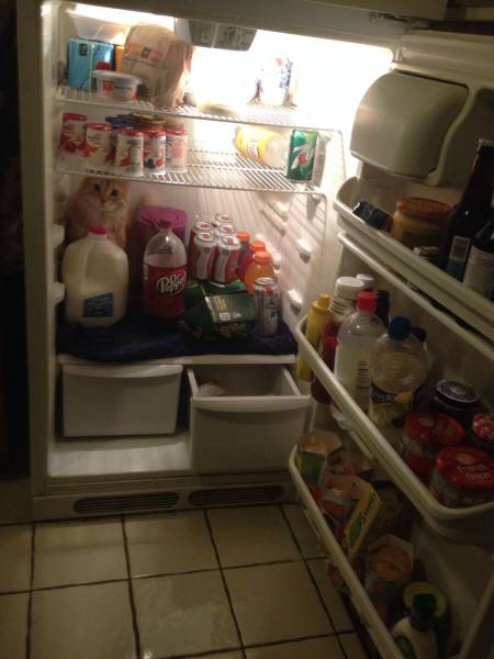 Acid Picdump (108 pics)