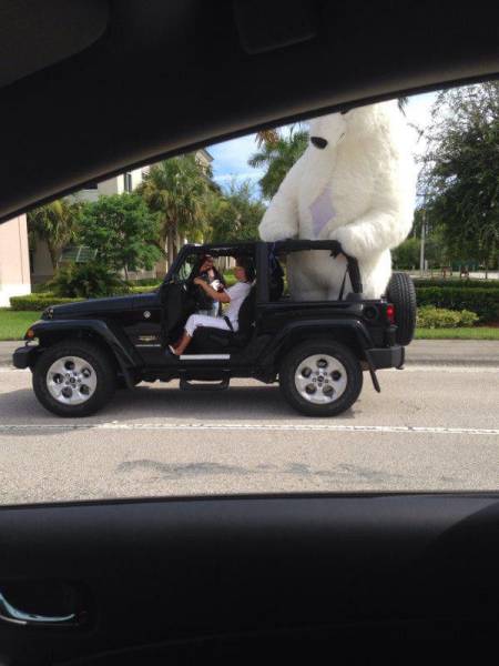 Acid Picdump (108 pics)