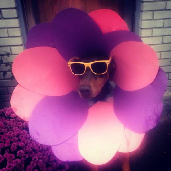 Acid Picdump (108 pics)