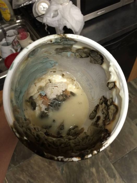 Disgusting Foods That Were Found In The Office Refrigerator (16 pics)